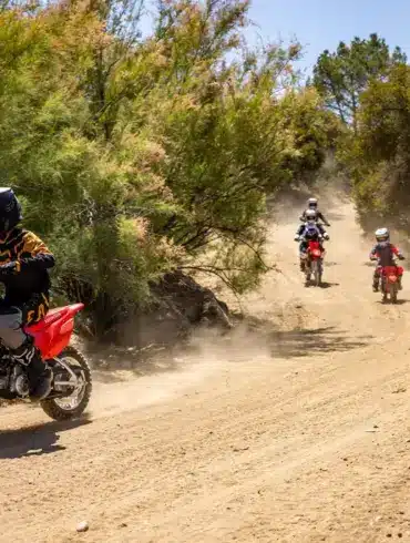 Kinder auf Honda CRF110F Motorrädern fahren auf einem staubigen Waldweg im Gelände.