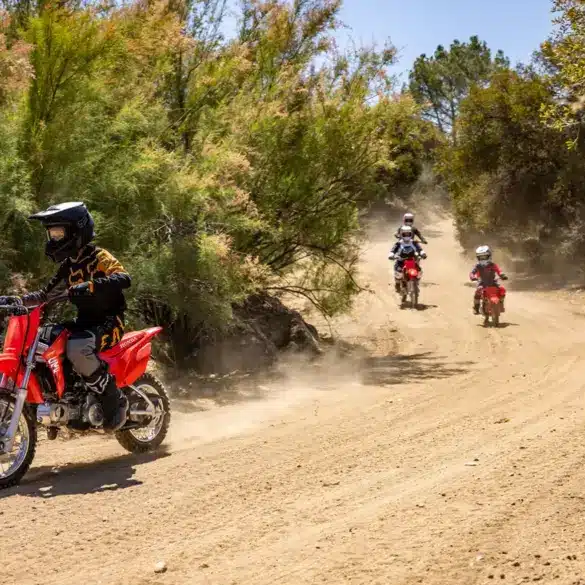Kinder auf Honda CRF110F Motorrädern fahren auf einem staubigen Waldweg im Gelände.