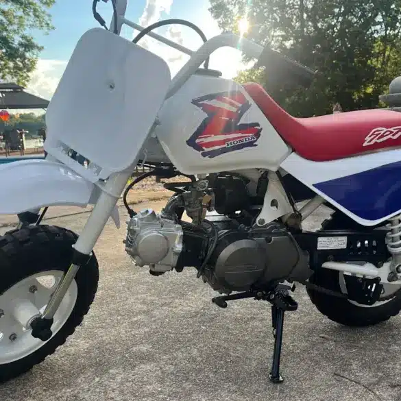 Restaurierte Honda Z50 von 1995 mit weiß-blau-rotem Farbschema, originalem Tank, rotem Sitz und korrekt angebrachtem Z-Logo, abgestellt im Außenbereich.