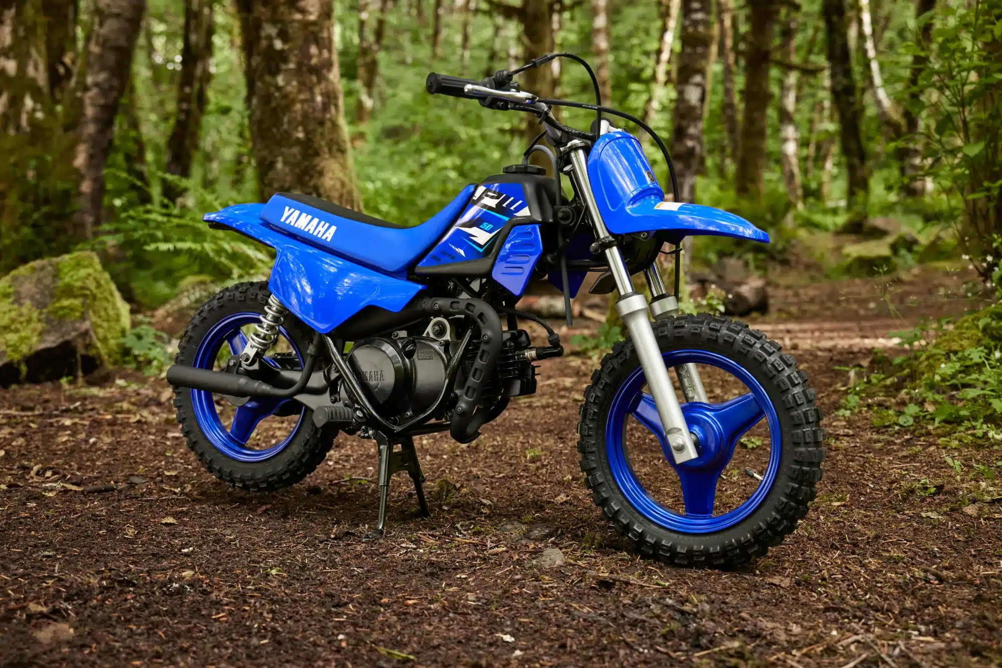 Yamaha PW50 Kinder-Motocross-Bike in Blau steht fahrbereit im Wald auf Waldboden.
