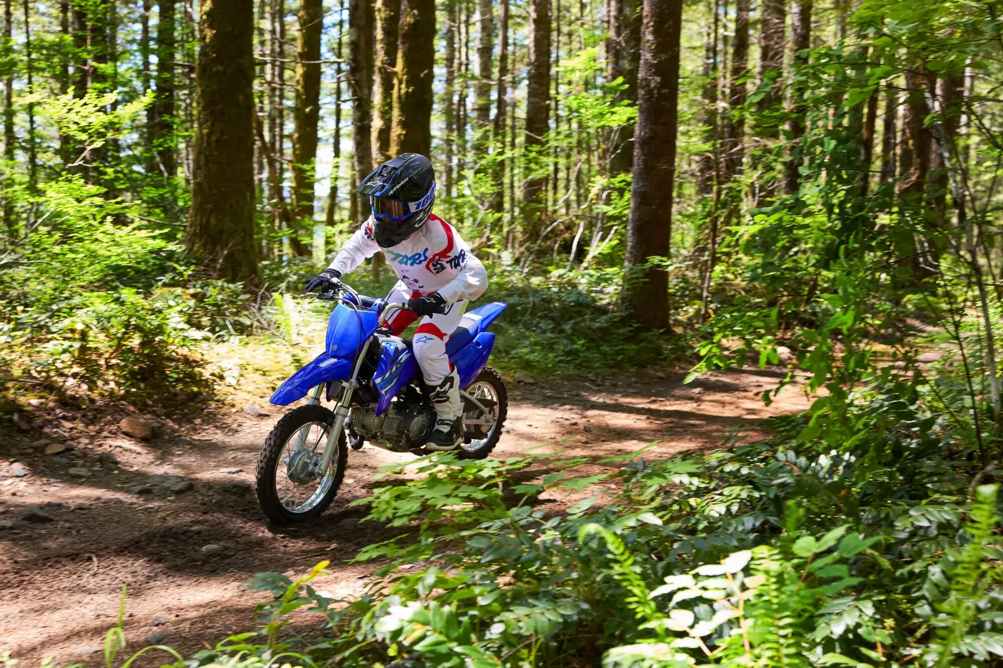 Jugendlicher auf einer blauen Yamaha TT-R110 fährt offroad durch einen sonnigen Waldweg.