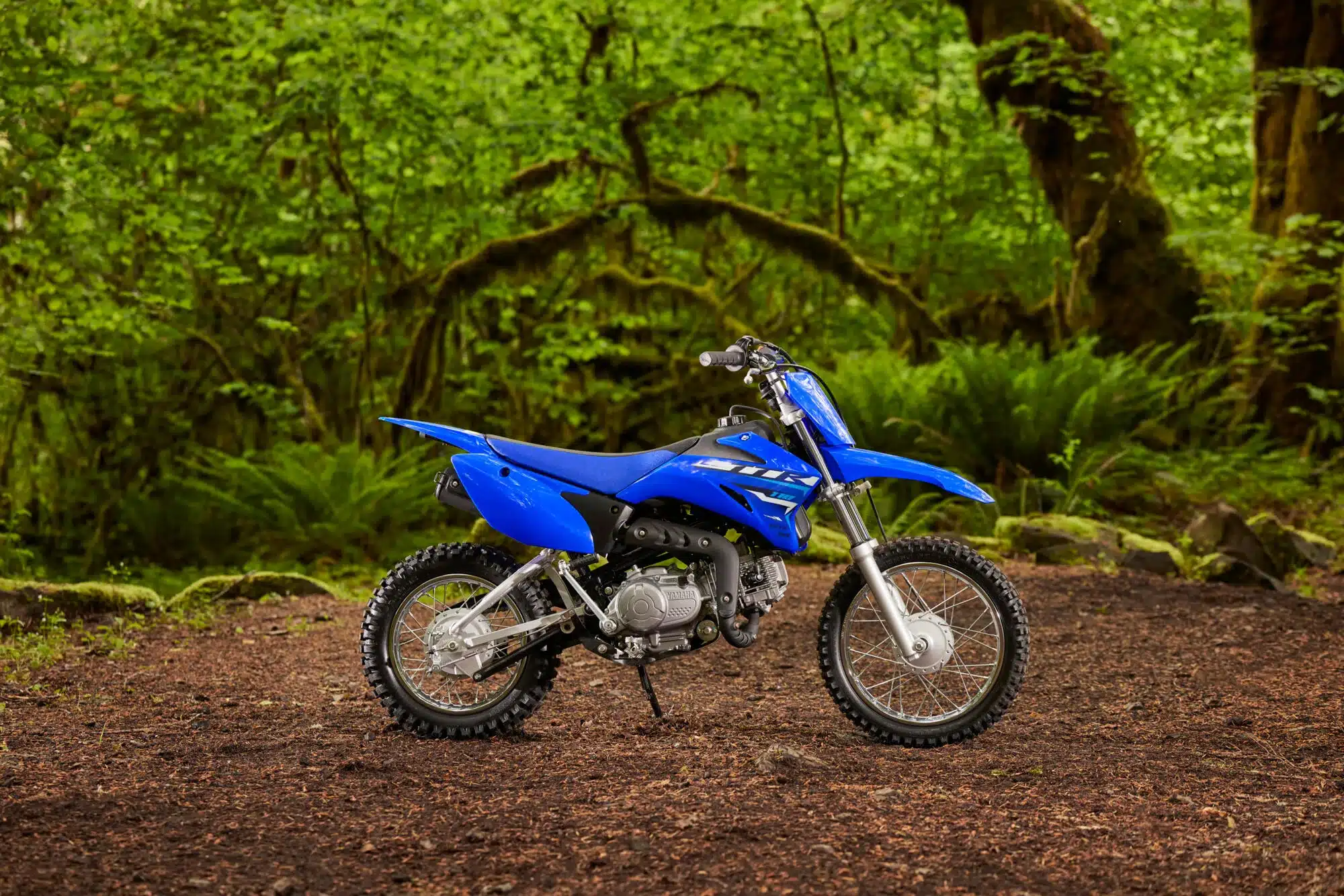 Yamaha TT-R110 als Jugend-Offroader im Wald auf lockerem Boden abgestellt