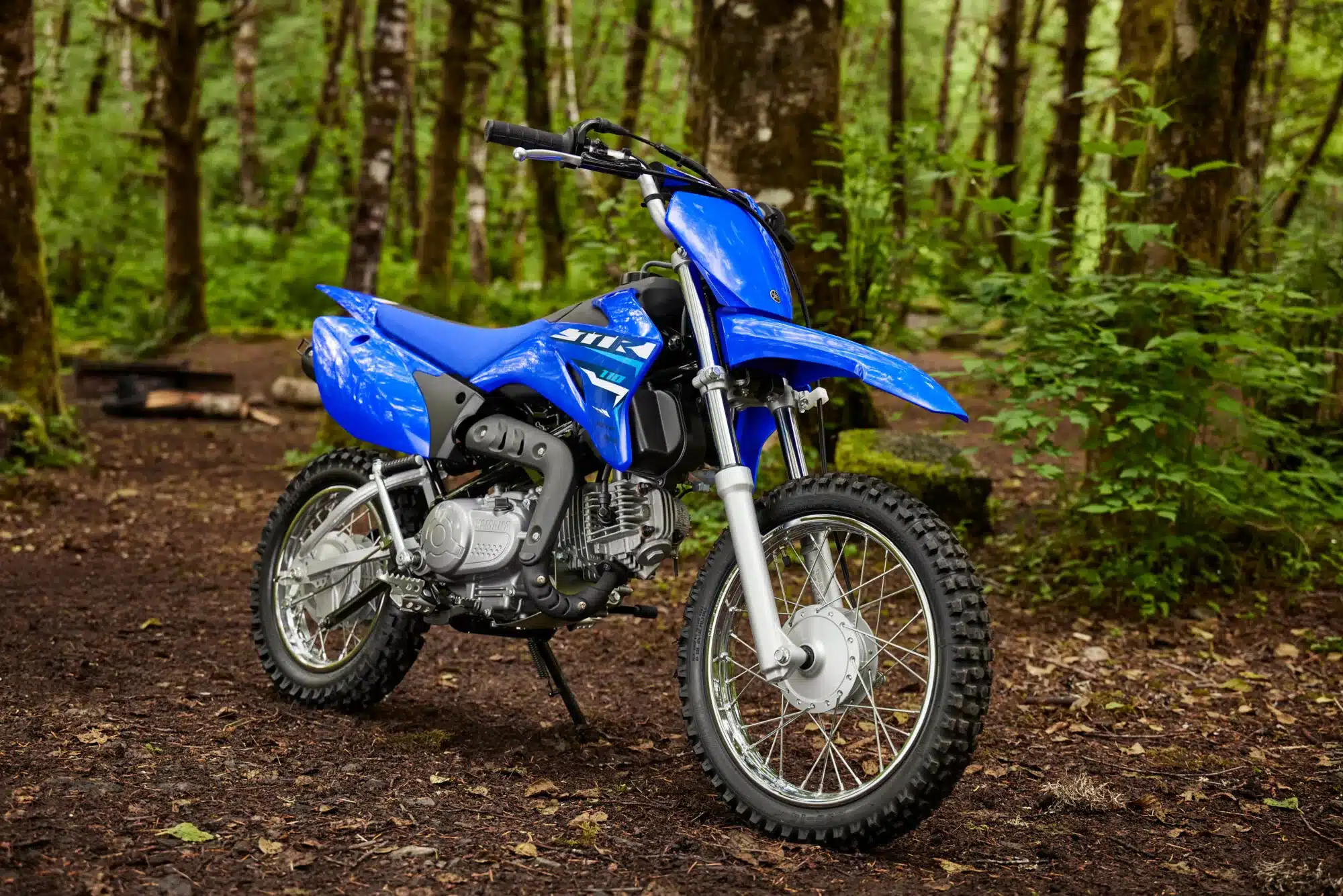 Yamaha TT-R110 Offroad-Motorrad in Blau steht auf Waldboden im Grünen