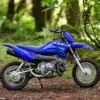 Yamaha TT-R50 Kinder-Motocross-Bike in Blau, geparkt auf einem Waldweg