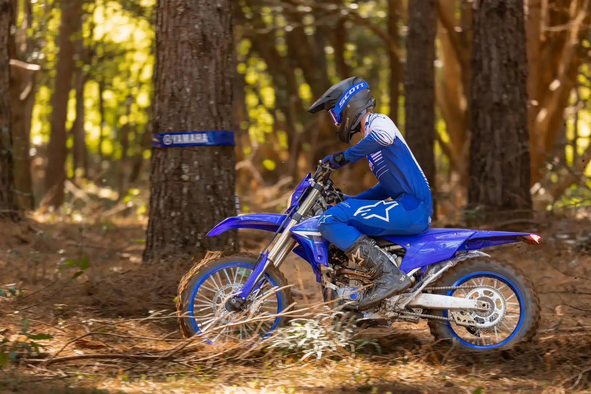 Yamaha WR250F wird von einem Fahrer im blauen Outfit durch einen bewaldeten Singletrail gefahren.