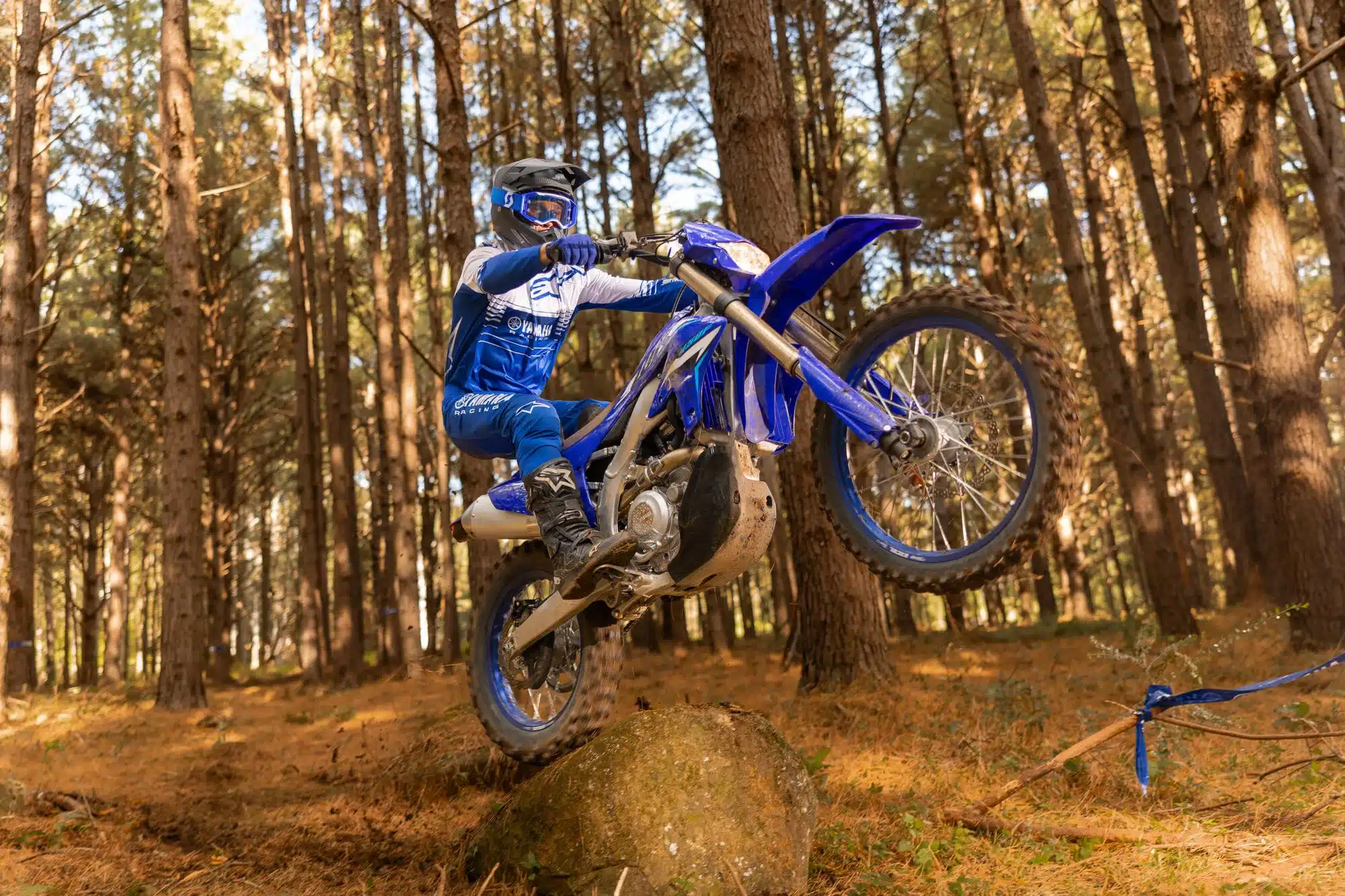 Yamaha WR250F springt über einen Felsen im dichten Wald, gefahren von Motorradfahrer in voller Ausrüstung