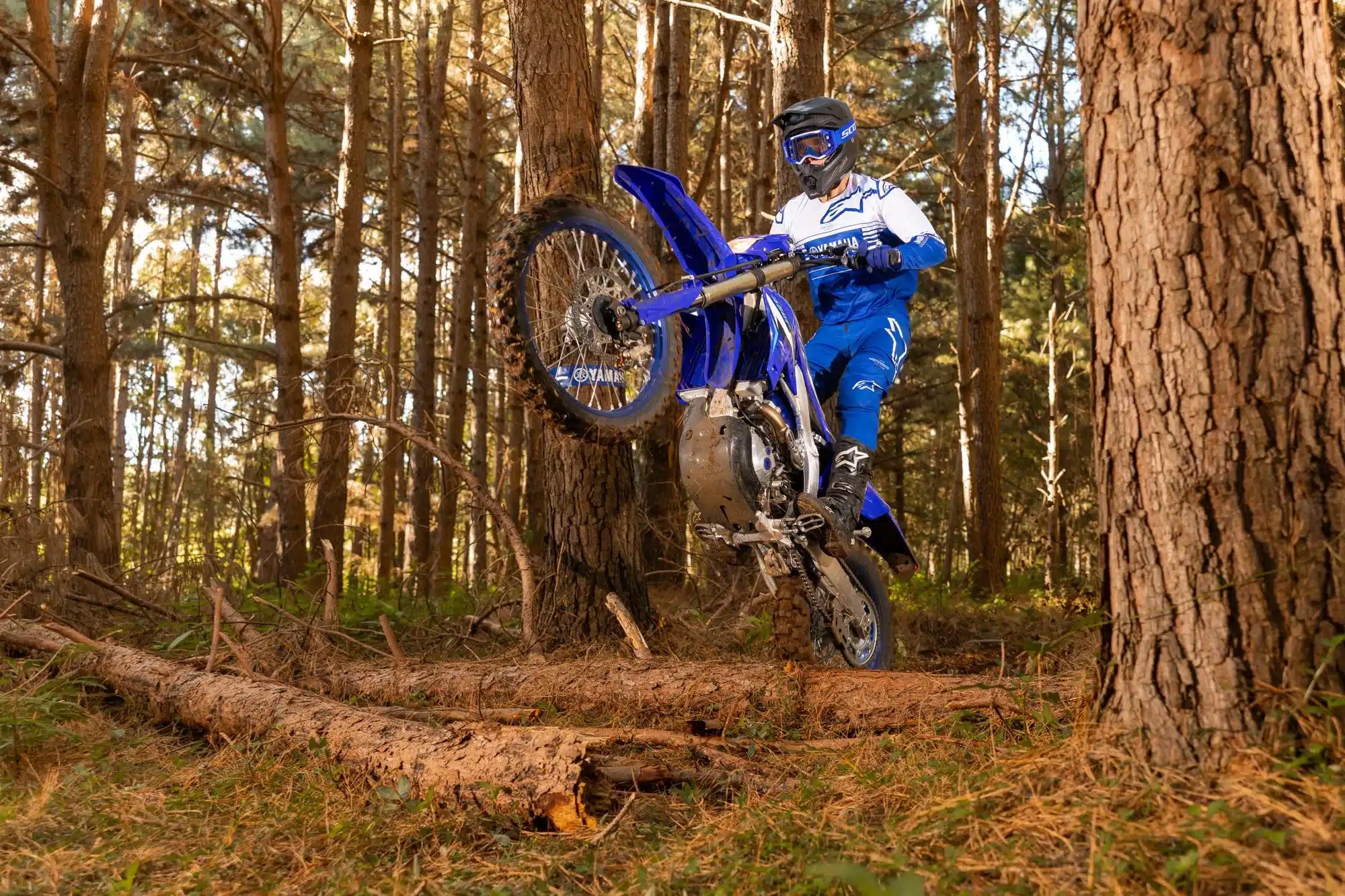 Fahrer auf einer Yamaha WR450F überwindet im Wald ein Hindernis im Offroad-Einsatz.