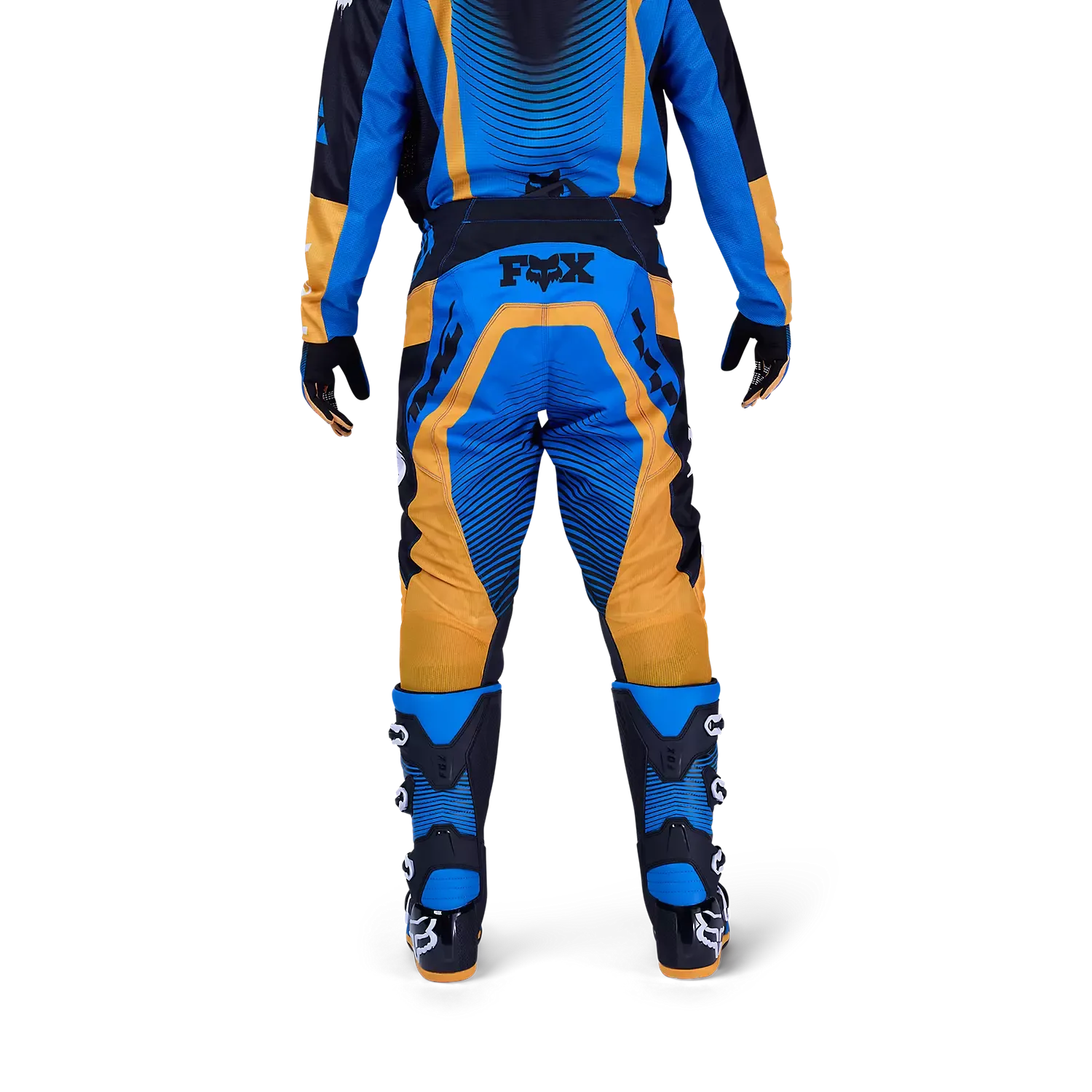 Fox 180 Collect Motocross-Hose, Rückansicht, blau-gelb mit Leder-Knieeinsätzen.