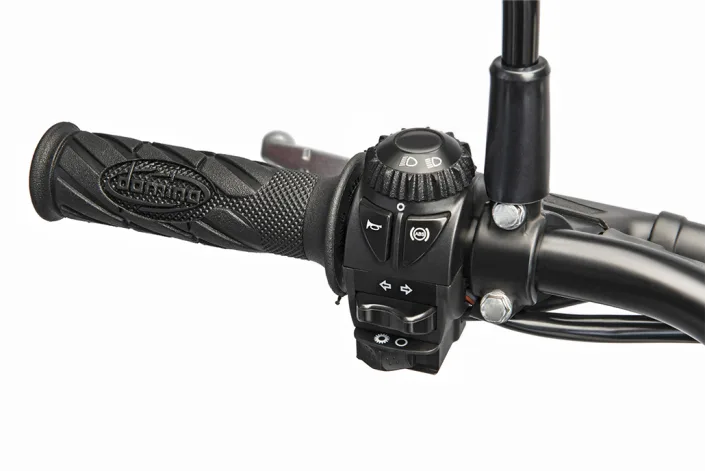 Linker Lenkerschalter der Beta Alp X mit Griffgummi und Schaltern für Licht, Blinker und Hupe.