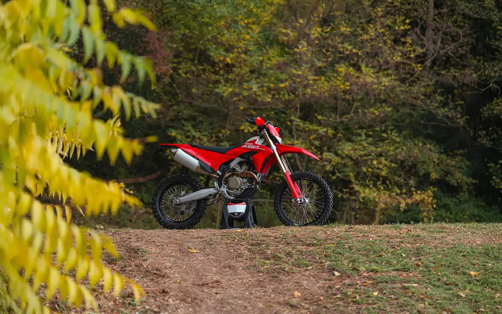 Rotes Enduro-Motorrad mit Stollenreifen abgestellt im Wald, herbstliche Laubfärbung im Hintergrund.