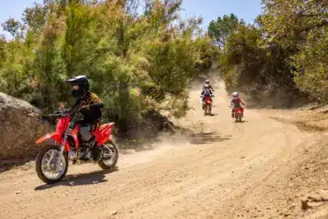 Kinder auf Honda CRF110F Motorrädern fahren auf einem staubigen Waldweg im Gelände.