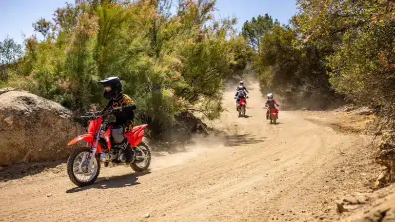 Kinder auf Honda CRF110F Motorrädern fahren auf einem staubigen Waldweg im Gelände.