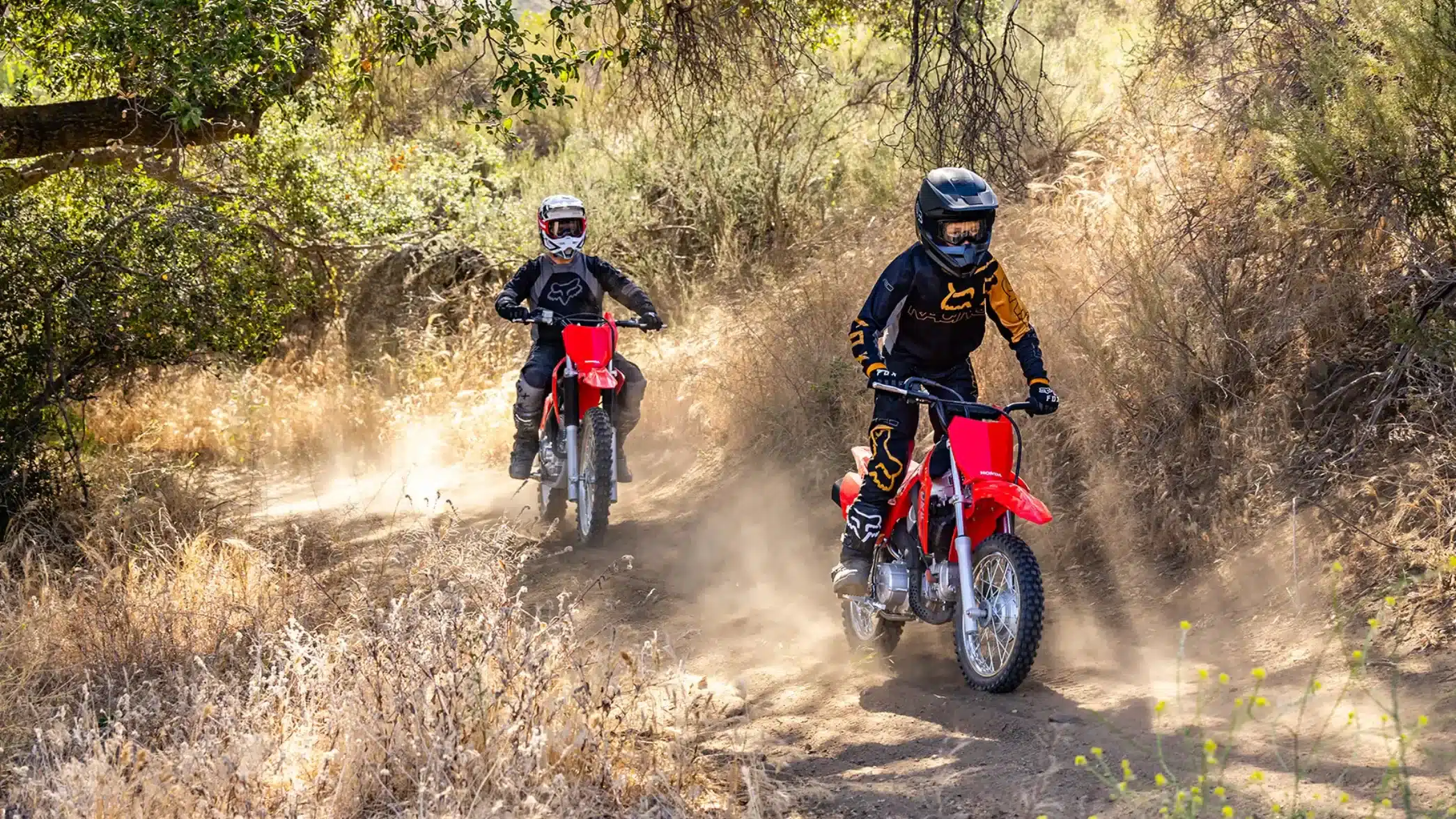 Kinder fahren mit Honda CRF110F Motorrädern durch einen bewaldeten Offroad-Pfad.