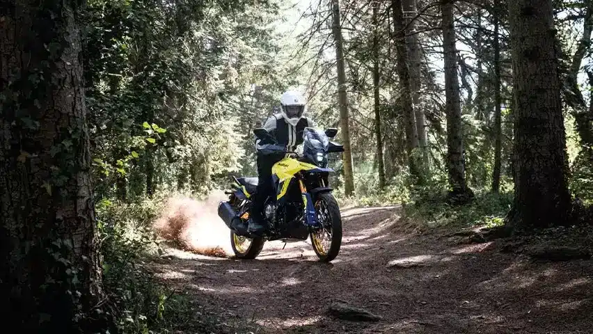 Fahrer auf einer Suzuki V-Strom 800DE Power Edition fährt auf einem Schotterweg durch einen dichten Wald.