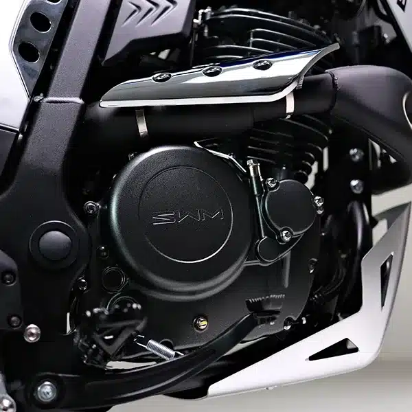 Nahaufnahme des Motors der SWM SIX6 650 Scrambler