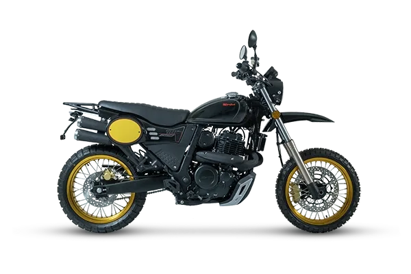 SWM SIX6 650 Scrambler Motorrad in Seitenansicht mit schwarzen Anbauteilen und goldenen Felgen.