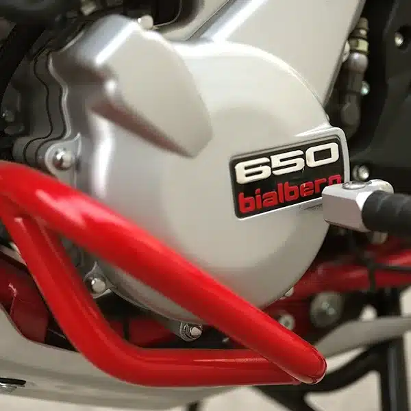 Detailaufnahme des 650-cm³-Einzylindermotors der SWM Superdual X mit rot lackiertem Schutzbügel.