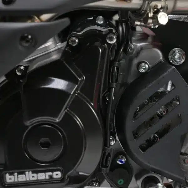 Motorblock der SWM RS 125 R aus der Nähe mit sichtbaren Komponenten und Beschriftung bialbero