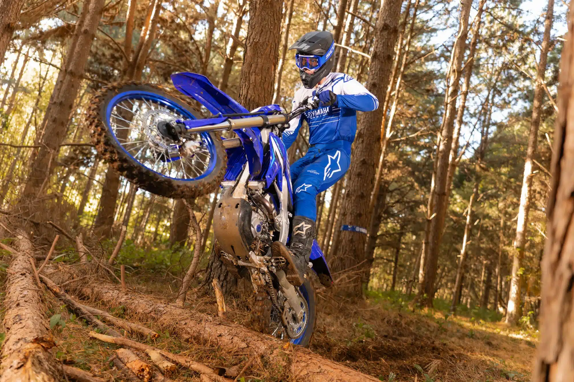 Endurofahrer auf einer Yamaha WR250F 2026 im Wald beim Überwinden von Hindernissen