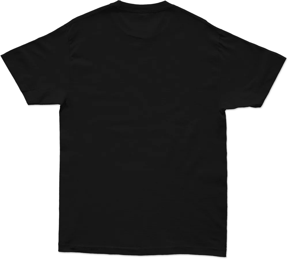 Schwarzes T-Shirt, Rückansicht, FLY DBK Tee, schlichtes Design.