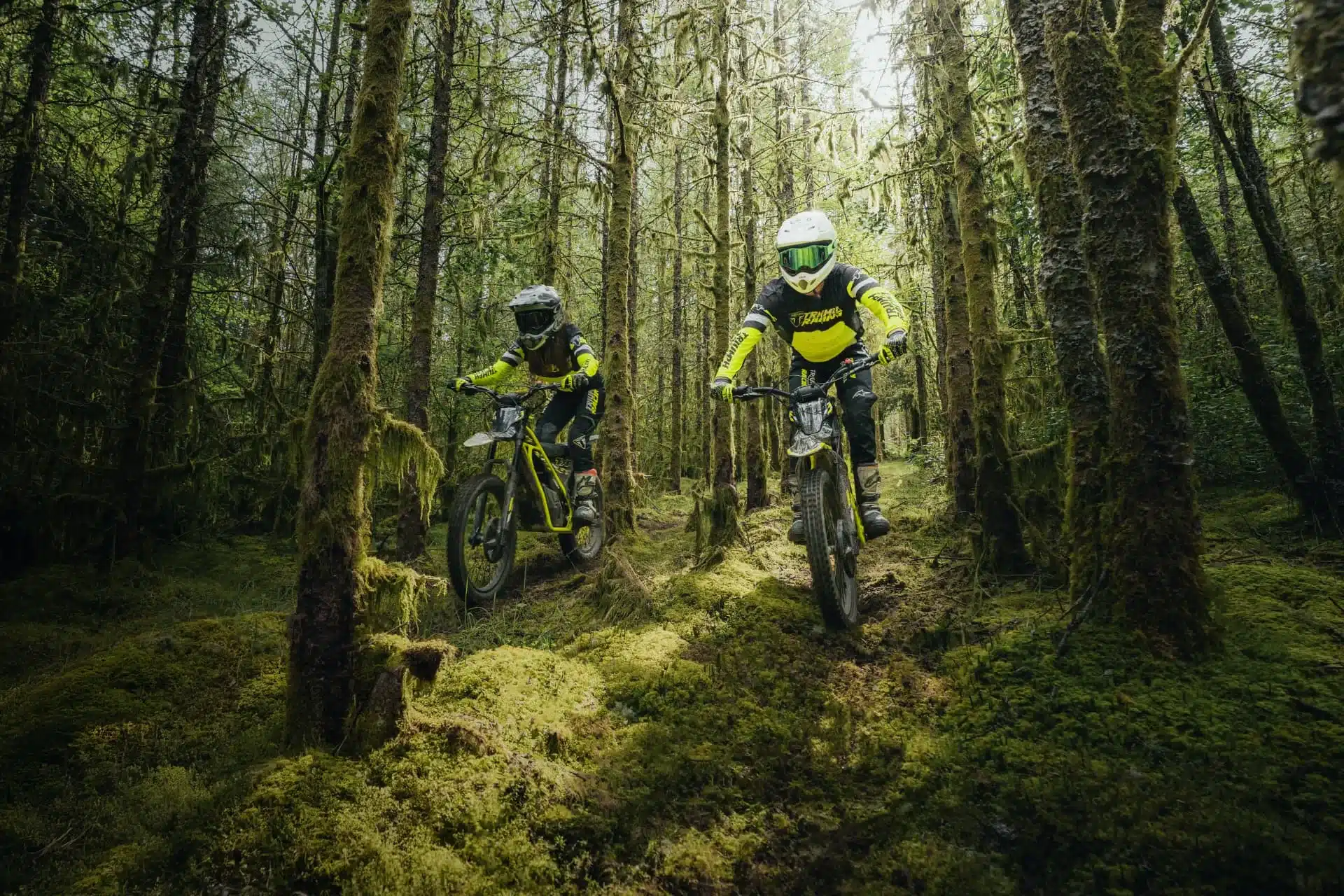 Zwei Personen fahren mit Triumph TXP-24 Elektromotorrädern durch einen moosbewachsenen Wald.