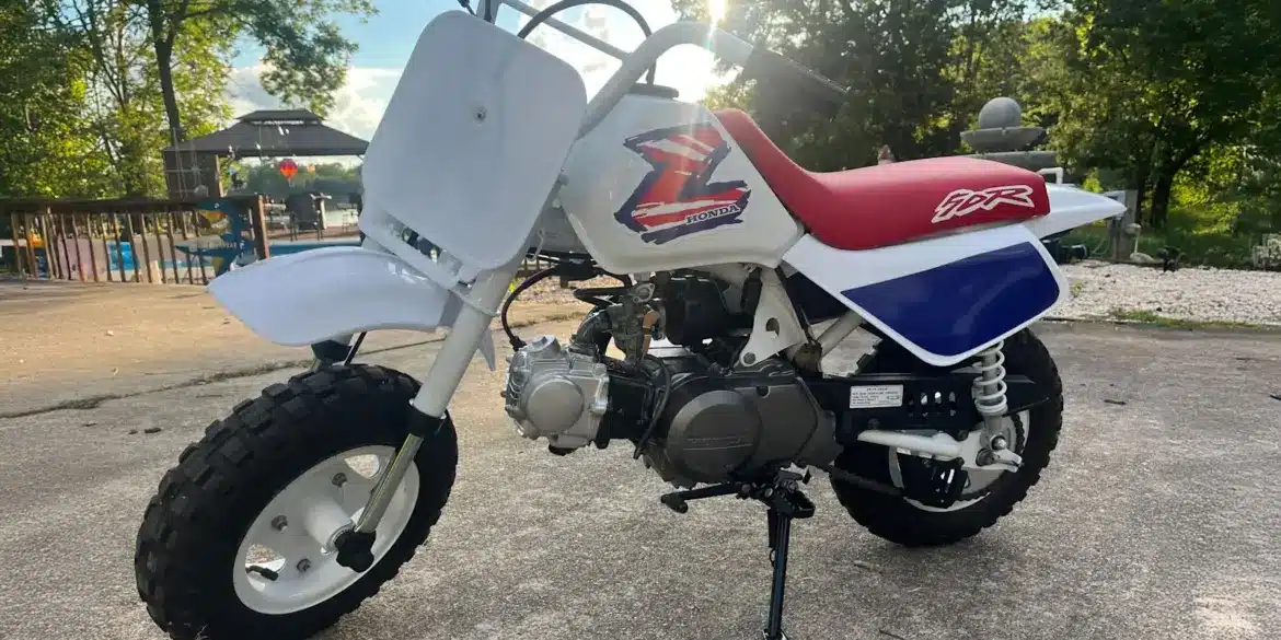 Restaurierte Honda Z50 von 1995 mit weiß-blau-rotem Farbschema, originalem Tank, rotem Sitz und korrekt angebrachtem Z-Logo, abgestellt im Außenbereich.